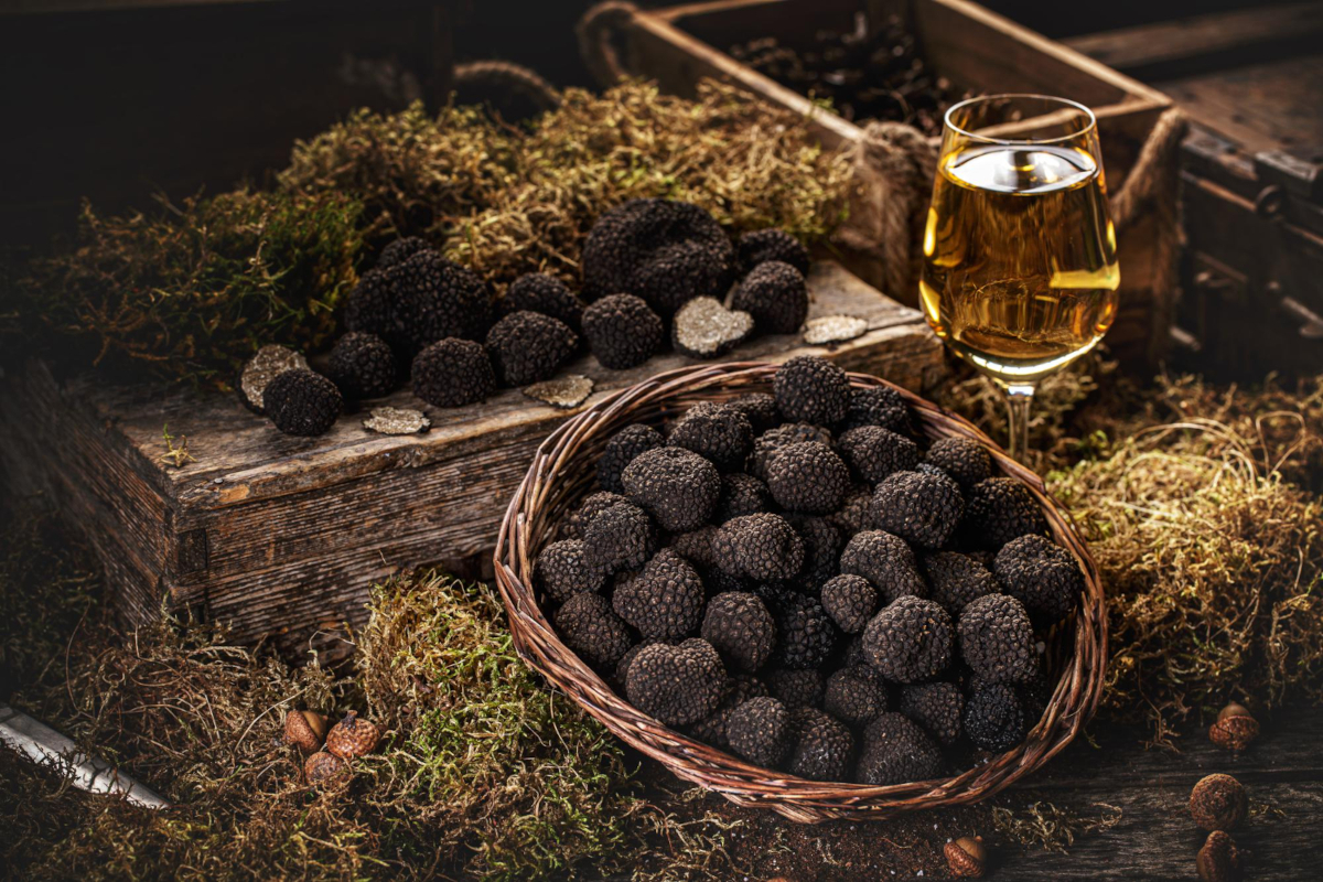 Tout savoir sur la Truffe - Achat / Conseils / Recettes